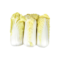 新鲜娃娃菜650g 黄心小白菜火锅烧烤食材
