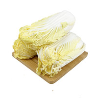 新鲜娃娃菜650g 新鲜蔬菜黄心小白菜火锅烧烤食材 满5件