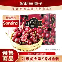 移动端、京东百亿补贴：京鲜生 智利进口Santina车厘子2J级 5斤礼盒装 果径约28-30mm