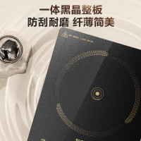 苏泊尔 家用电磁炉2200W大功率超猛火电池炉耐用面板纤薄电磁灶火锅炉C22-IA822D