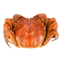 【活蟹】 阳澄易顺大闸蟹 鲜活特大螃蟹 海鲜水产生鲜礼盒 公5.0-5.3两母4.0-4.3两8只4对