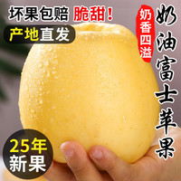 粤迎 山东黄金奶油富士苹果 4.5斤