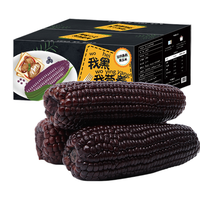 果园汇 甜糯香甜黑玉米10根装 单根200g以上 真空包装 新鲜黑玉米棒