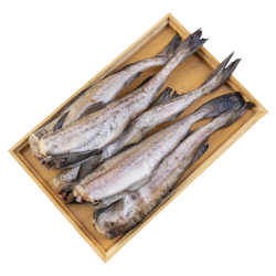 Seamix 阿拉斯加狭鳕鱼净重4斤 去头去脏整条 6-10条装 海鲜水产