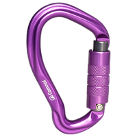 坎乐非对称攀岩牛尾主锁自动丝扣主锁登山滑降梨形高空作业攀冰主锁扣 自动锁门 银色