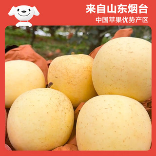 京鲜生山东奶油富士苹果净重8斤单果170g新鲜水果 源头直发 奶油富士净重8斤单果170g