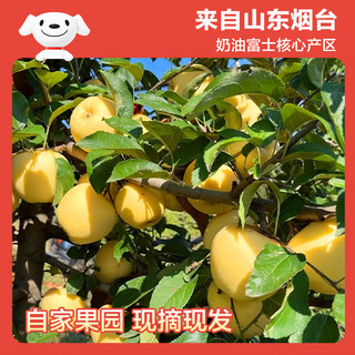京鲜生山东奶油富士苹果净重8斤单果170g新鲜水果 源头直发 奶油富士净重8斤单果170g