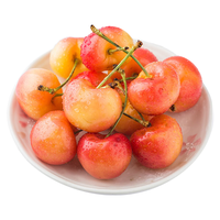 京鲜生吉制智利雷尼尔车厘子3J级4.4斤礼盒装 果径约30-32mm 源头直发 4.4斤(净重) 雷尼尔3J级礼盒装