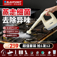 BLAUPUNKT 德国蓝宝2025新款家用手持高温蒸汽清洁机去污杀菌除螨