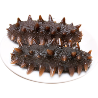 缤鲜 山东 即食海参500g 辽刺参海生 生鲜 16-19只-源头直发