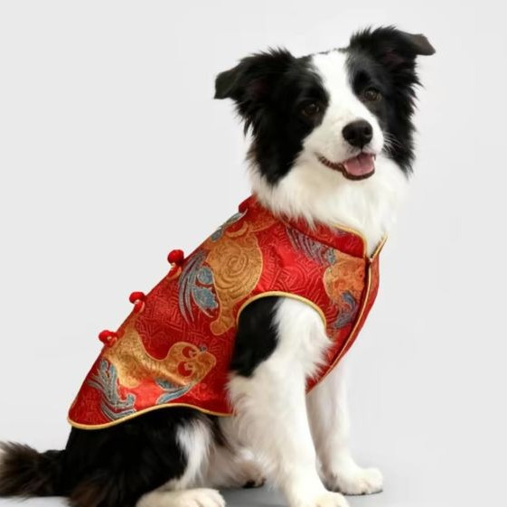 边牧狗狗衣服新年唐装新中式柯基柴犬宠物中型大型犬过年拜年