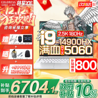 七彩虹 将星X16 Pro 16英寸笔记本电脑(i9-14900HX、RTX5060、16GB、1TB)