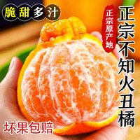 粤迎 四川不知火丑橘 5斤优选果净4.5斤
