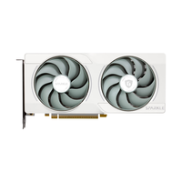 撼与守护者系列游戏显卡 Intel Arc B570 守护者白 双槽双风扇 10GD6