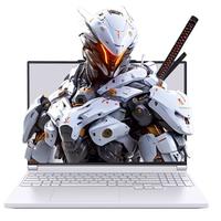 MECHREVO 机械革命 极光X 十三代酷睿版 16英寸 游戏本 白色（酷睿i7-13700HX、RTX 5060、32GB、1TB、2560*1600、180Hz）