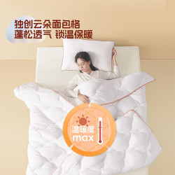 百丽丝 A类亲肤秋冬加厚被芯 【A类|七孔透气纤维】