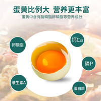 神丹鲜鸡蛋礼盒 30枚黑鸡绿蛋