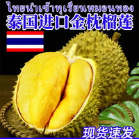 京盟主 泰国金枕榴莲 4-5斤