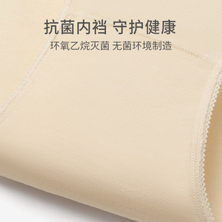 有棵树 一次性内裤女全棉免洗无菌三角裤头