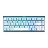 Akko Ray68 有线磁轴键盘游戏电竞键盘无畏契约RT模式可调68配列8K回报率办公机械键盘带双灯箱
