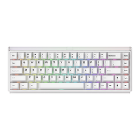 Akko 8K回报率 电竞键盘 双灯箱  雾透纯白 磁轴 RGB