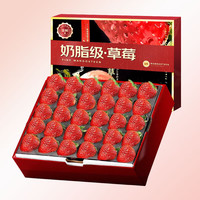 爱果趣99红颜草莓【JD-多地次日达】奶油草莓四川新鲜水果礼盒 5斤净重