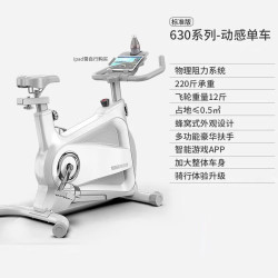 英尔健 动感单车家用有氧运动器材磁控调阻室内自行车精巧静音脚踏车 -物理阻力