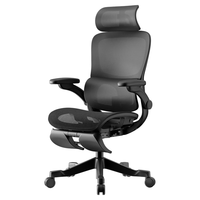 黑白调P2 Pro+人体工学电脑椅办公人工力学座椅学习久电竞椅子 新P2Pro+【麦肯基4D腰托】曜黑 脚托