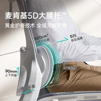 黑白调P2 Pro+人体工学电脑椅办公人工力学座椅学习久电竞椅子 P2Max【麦肯基5D腰托】霜白