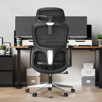 黑白调P2 Pro+人体工学电脑椅办公人工力学座椅学习久电竞椅子 P2 Pro+【360°魔术扶手 3D头枕】耀黑