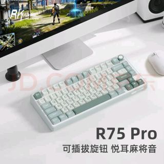 ROYAL KLUDGE RK R75Pro机械键盘 电竞游戏推荐 Hifi麻将音 炫酷灯光灯带