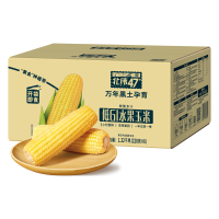 北纬47° 北纬47度水果玉米1.32kg(220g*6根)