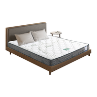 SOMNOPRO 穗宝 南海椰歌 椰棕床垫 120*200*18cm