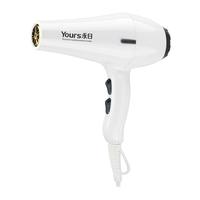 Yongri 永日 6217 电吹风 白色