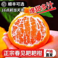 菲农 四川 春见耙耙柑 10斤 新鲜水果