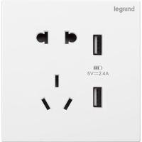 legrand 罗格朗 仕典系列 K8/426/US/U 五孔带USB插座 玉兰白