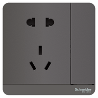 Schneider Electric 施耐德电气 AvatarOn绎尚系列 E8315_10US_SL_C1 五孔带开关插座 荧光灰色