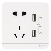 Schneider Electric 施耐德电气 AvatarOn绎尚系列 五孔带两USB插座 镜瓷白