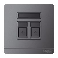 Schneider Electric 施耐德电气 AvatarOn绎尚系列 二联六类电脑插座 荧光灰色