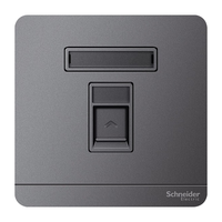 Schneider Electric 施耐德电气 AvatarOn绎尚系列 电脑插座 荧光灰色
