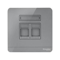 Schneider Electric 施耐德电气 AvatarOn绎尚系列 双联电脑插座 荧光灰色