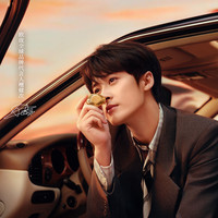 欧珑 金色车载香氛扩香套装 茶花香颂5G