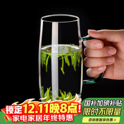 泥也 玻璃杯泡绿茶杯高硼硅耐热水杯男士办公室单人猴魁专用带把喝水具