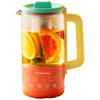 荣事达 恒温 纯钛养生壶  0.6L
