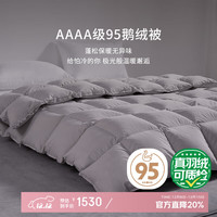 霞珍 95鹅绒被子 轻音保暖双人被芯 适宜室温10-15℃ 冬被-200*230cm-填充1000g 冬被