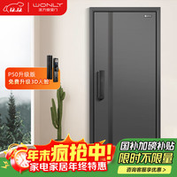 王力 A102系列 高端家用防盗门 2050mm*960mm