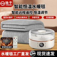 扬子 水暖毯调温双人水暖水电热毯取暖神器水热毯水暖电热毯电褥子