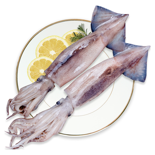 鸿顺 深海大鱿鱼 500-550g/2条 鲜捕速冻 海鲜水产 烧烤食材 火锅食材