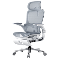 黑白调P2 Pro+人体工学电脑椅办公人工力学座椅学习久电竞椅子 P2Max【麦肯基5D腰托】霜白 脚托