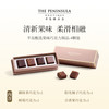 ThePeninsula半岛巧克力礼盒小魔方黑巧喜糖礼盒零食品婚庆 甄选果味巧克力4颗装【风味期限至2026年1月14日】